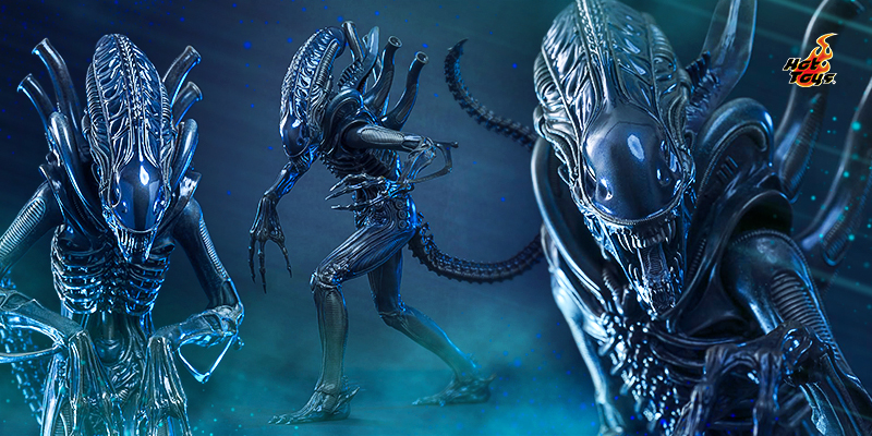 1/6 Alien Warrior Movie Masterpiece | HOT TOYS