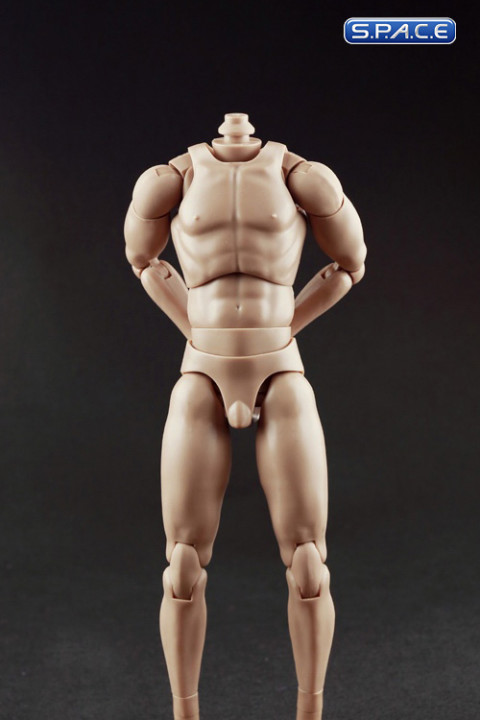 1/6 Scale Standard male high Body - narrow shoulders