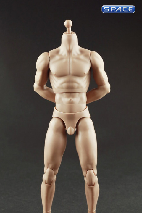 1/6 Scale Muscle male high Body