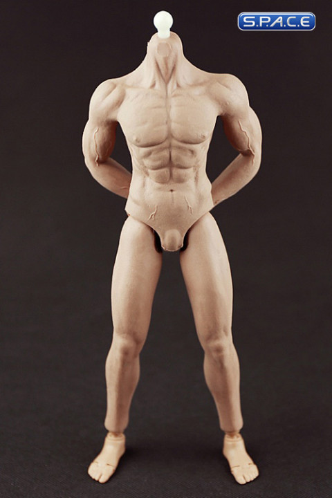 1/6 Scale Muscular male Body - all seamless