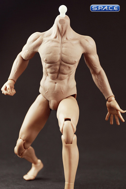 1/6 Scale Muscular male Body - semi seamless