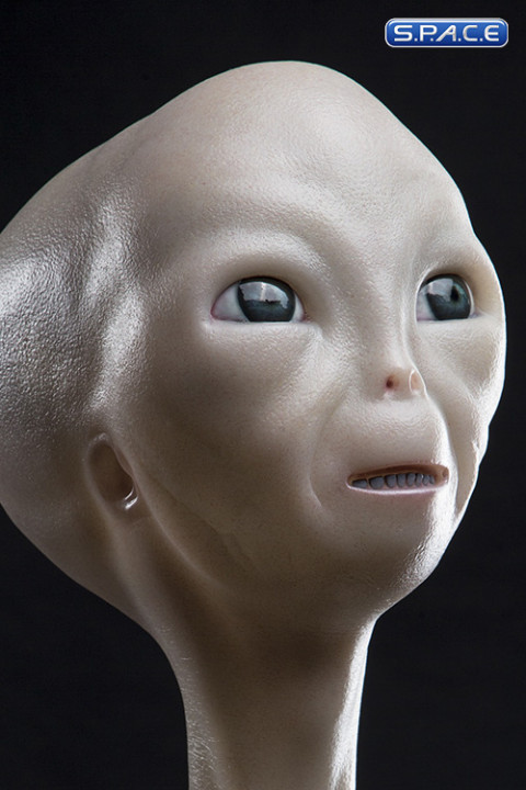 1:1 Alien Visitor Life-Size Bust (Close Encounters of the Third Kind)