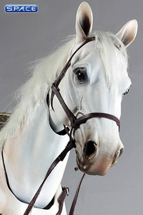1/6 Scale White Horse with light travel saddle set