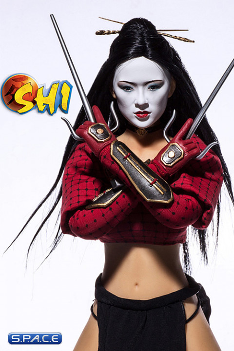 1/6 Scale SHI Ninja