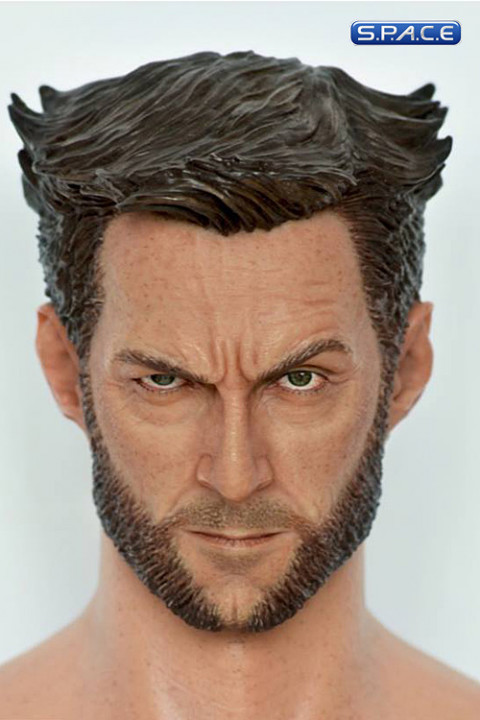 1/6 Scale Logan Head (Visage Collection)