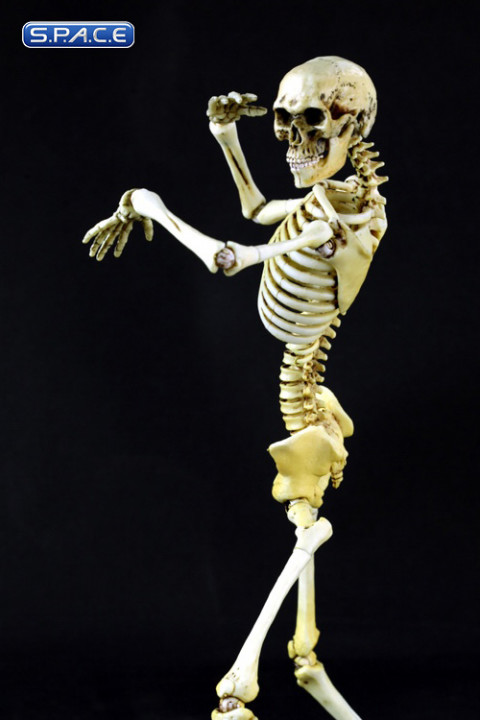 1/6 Scale movable Skeleton Body (standard color)