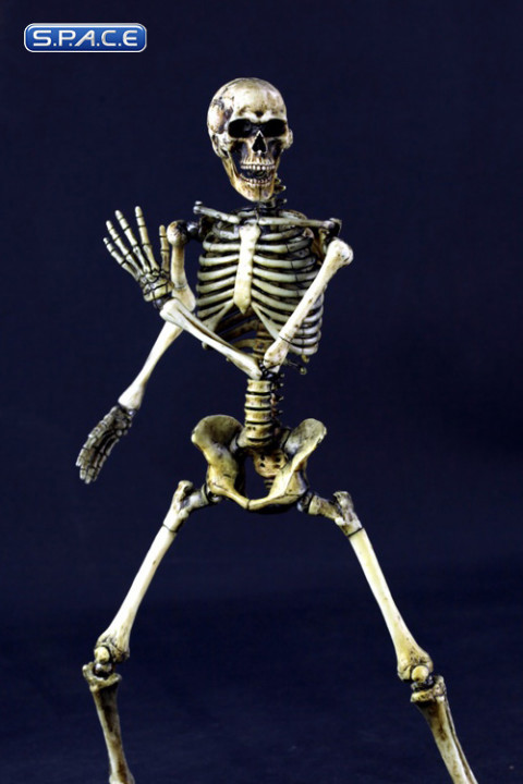1/6 Scale movable Skeleton Body (old color)