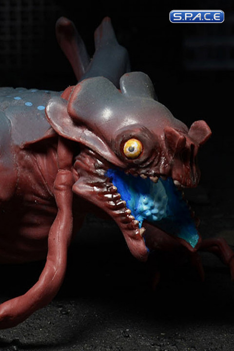 Baby Otachi (Pacific Rim)