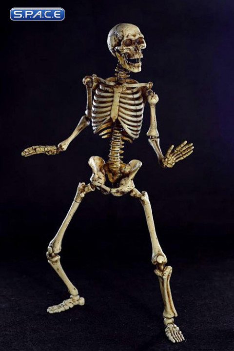 1/6 Scale Human Skeleton Body 2.0