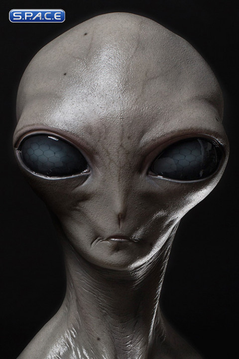 1:1 The Grey life-size Bust (Extraterrestrial)