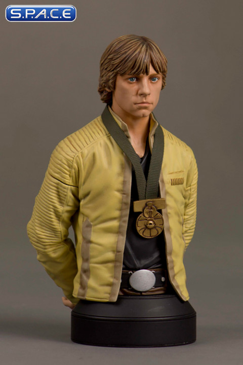 Luke Skywalker Hero of Yavin Bust (Star Wars)