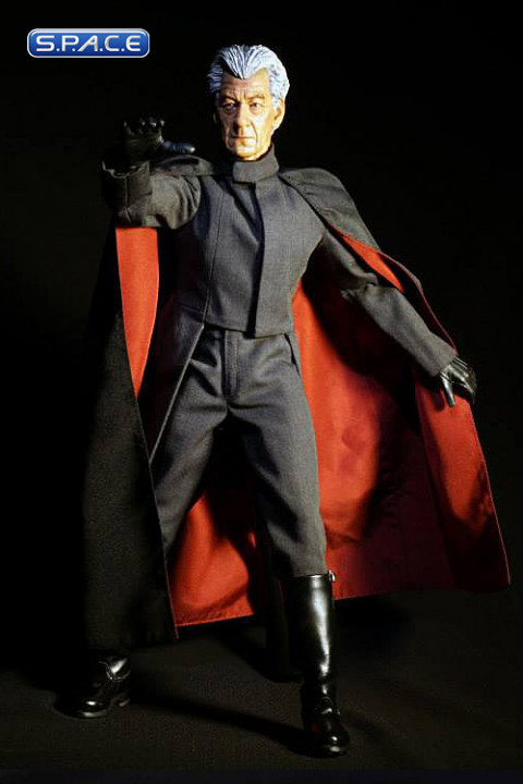 1/6 Scale Magneto