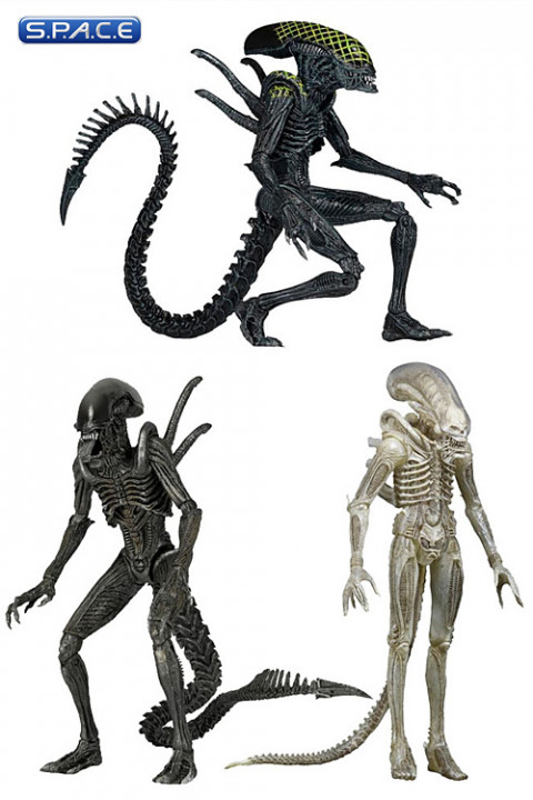 Complete Set of 3: Aliens Series 7 (Aliens)