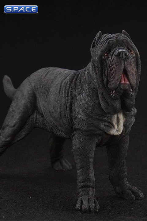 1/6 Scale black Neapolitan Mastiff