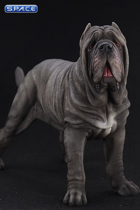 1/6 Scale grey Neapolitan Mastiff