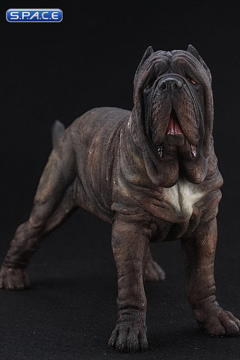 1/6 Scale tabby Neapolitan Mastiff