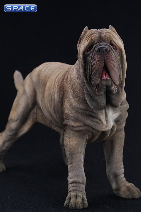 1/6 Scale tan Neapolitan Mastiff