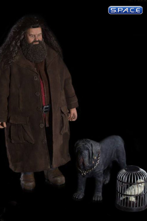 1/6 Scale Rubeus Hagrid Deluxe Version (Harry Potter and the Sorcerers Stone)