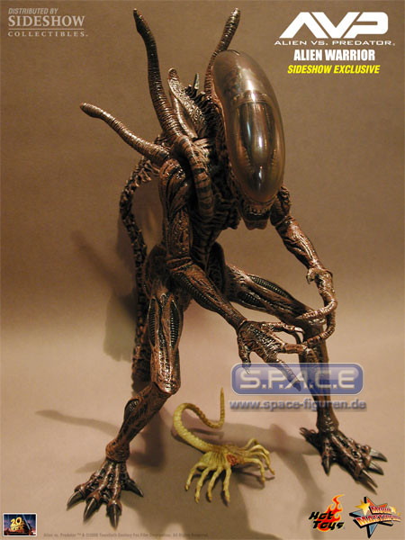 16 Alien Warrior Exclusive Brown Edition (Alien vs. Predator)