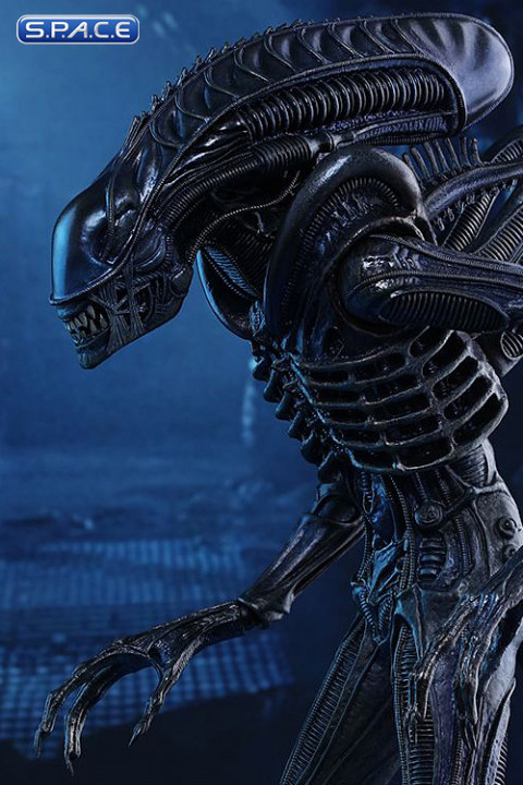 1/6 Scale Alien Warrior Movie Masterpiece MMS354 (Aliens)