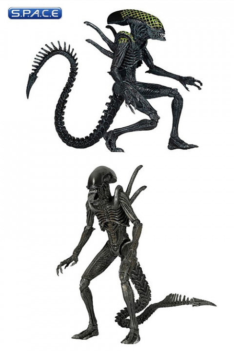 Set of 2: Aliens Series 7 (Aliens)