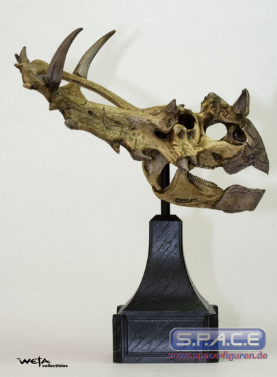 Ferrucutus Skull Bust (Kong)