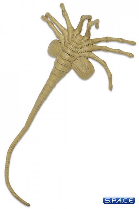 1:1 Facehugger Life-Size Prop Replica (Aliens)