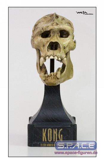 Kong Skull Bust (Kong)