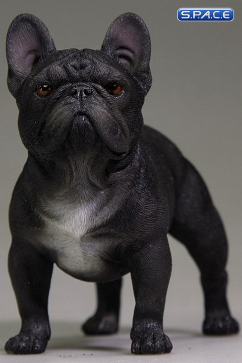 1/6 Scale black French Bulldog