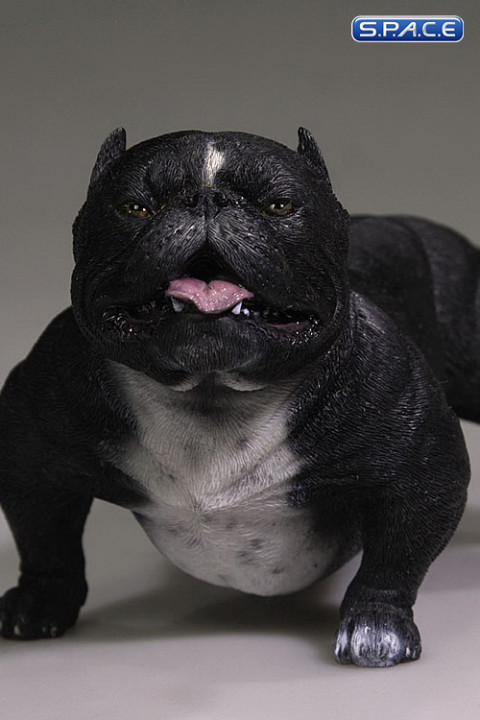 1/6 Scale black American Bully Dog