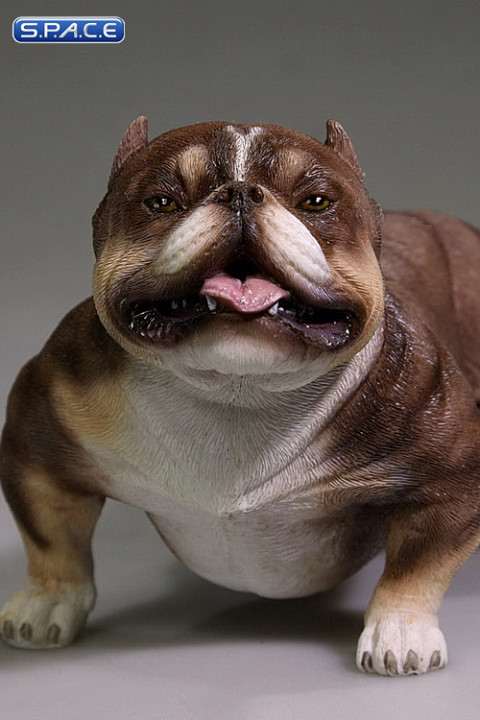 1/6 Scale brown American Bully Dog