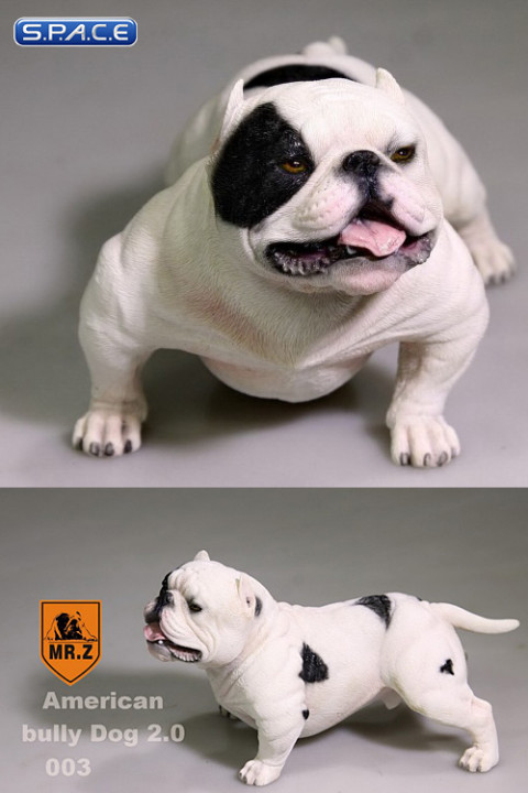 1/6 Scale white American Bully Dog