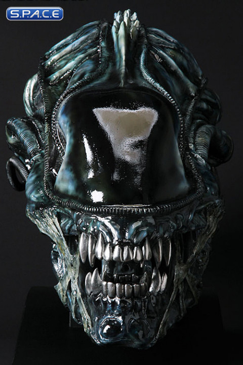 1:1 Alien Warrior Life-Size Head Blue Edition (Aliens)