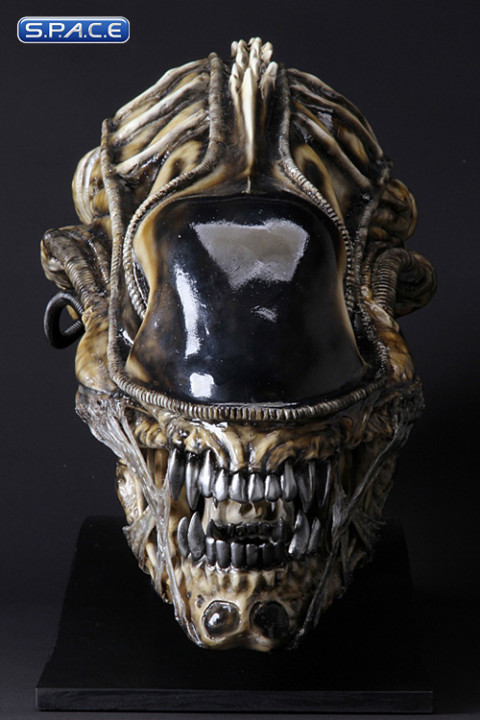 1:1 Alien Warrior Life-Size Head (Aliens)