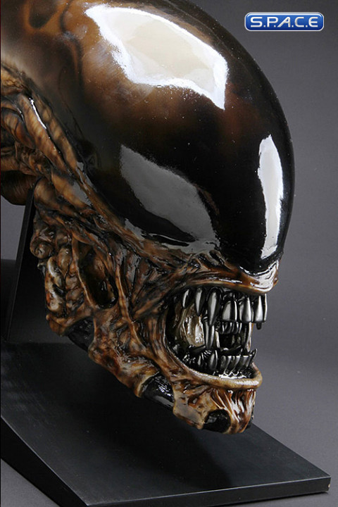 1:1 Dog Alien Life-Size Head (Alien)