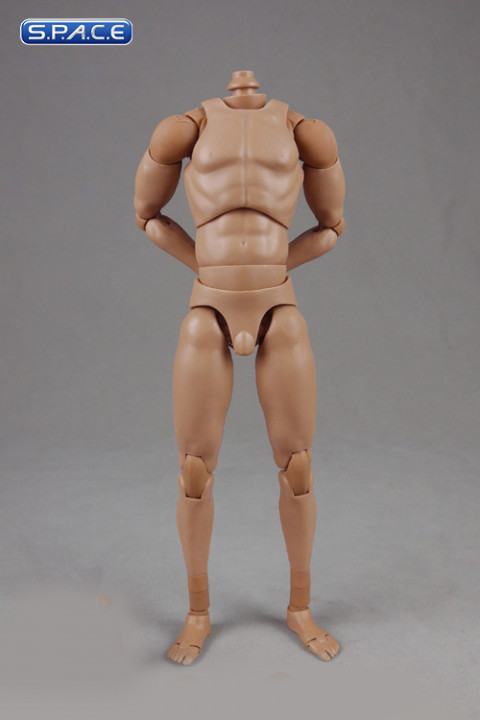 1/6 Scale Standard Male high Body 2.0 - narrow Shoulders