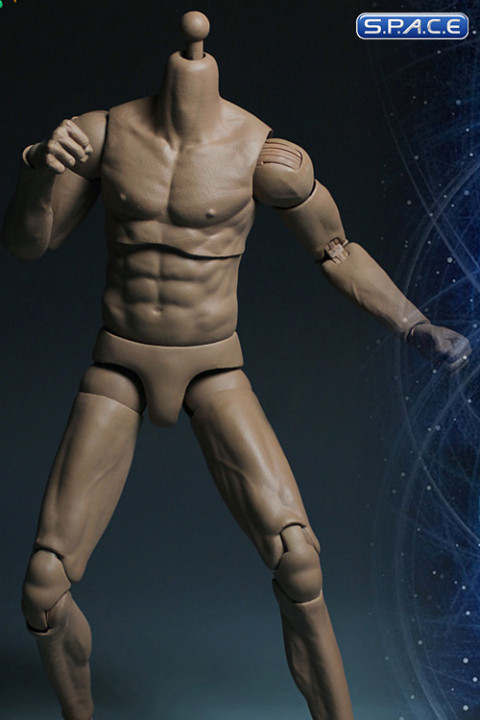 1/6 Scale Male Muscle Body with Neck