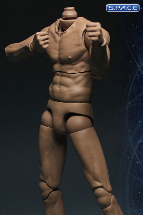 1/6 Scale neckless Male Muscle Body