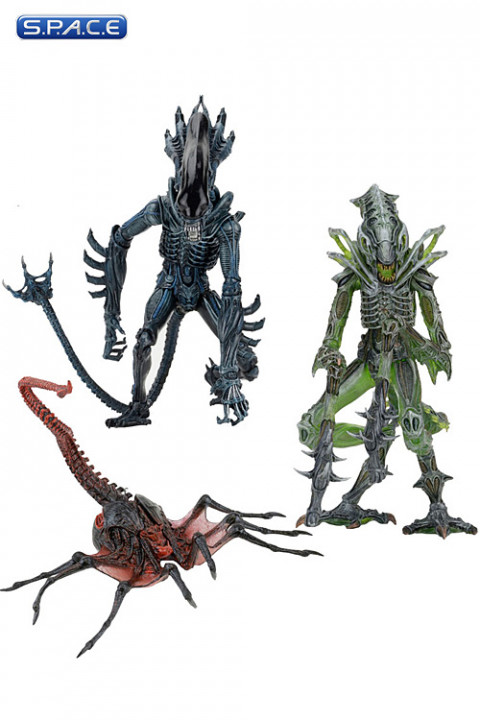 Complete Set of 3: Aliens Serie 10 (Aliens)