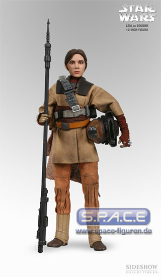 12 Princess Leia as Boushh (Star Wars)