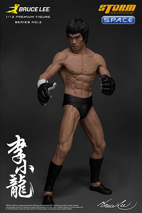 Bruce lee mma cheap