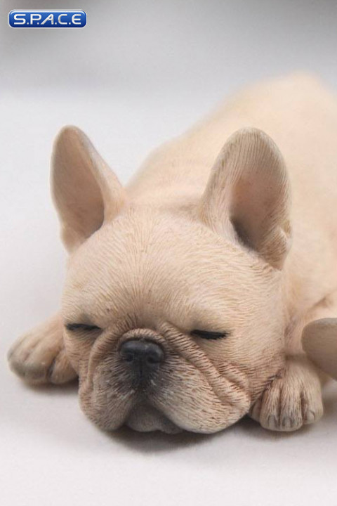 1/6 Scale beige French Baby Bulldogs