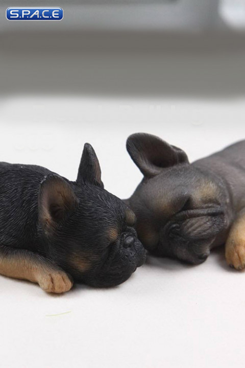 1/6 Scale brown French Baby Bulldogs