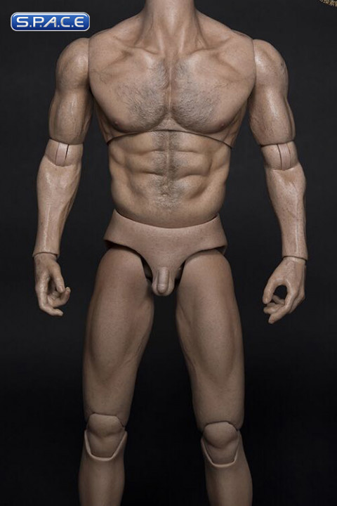 1/6 Scale Male Body Thick Chest / Broad Shoulder / headless