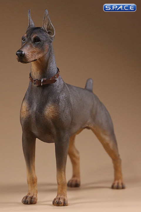 1/6 Scale German Doberman Version B