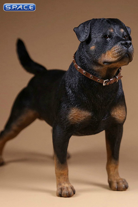 1/6 Scale Rottweiler Version A