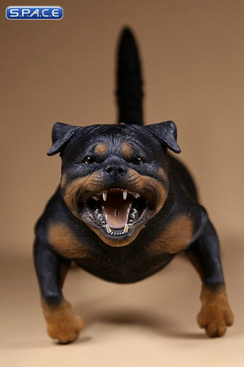 1/6 Scale Rottweiler Version B