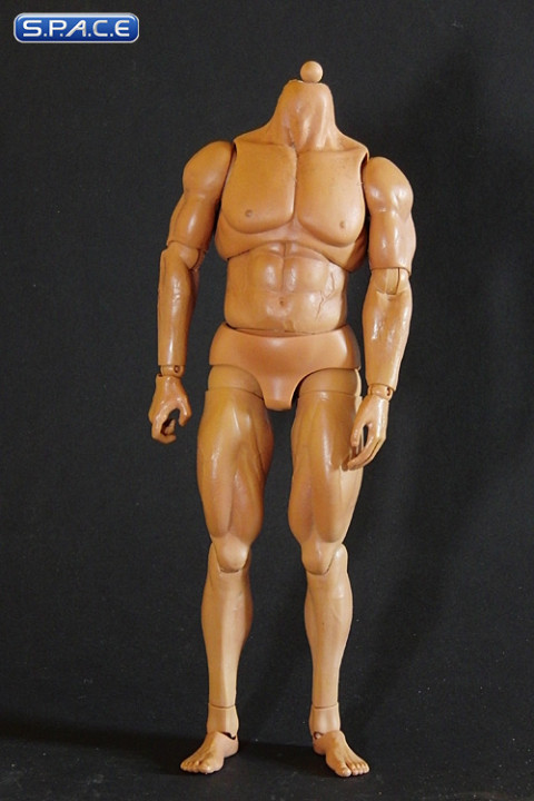 1/6 Scale Heroik Muscle Body - Limited Edition (tanned color)