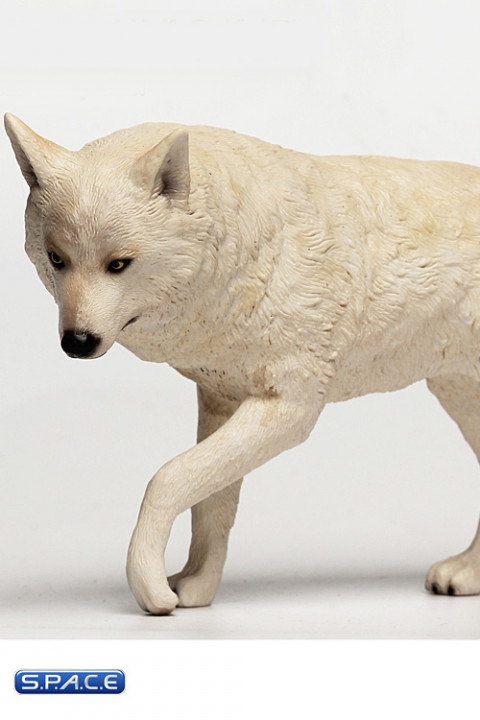 1/6 Scale white Companion Wolf