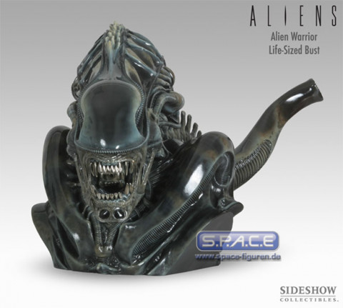 1:1 Alien Warrior Life-Size Bust (Aliens)